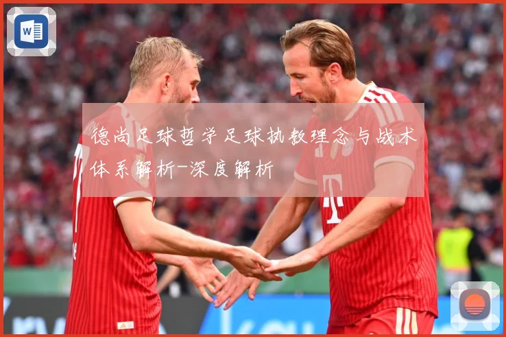 德尚足球哲学足球执教理念与战术体系解析-深度解析