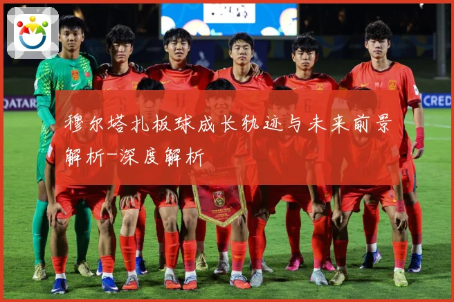 穆尔塔扎板球成长轨迹与未来前景解析-深度解析