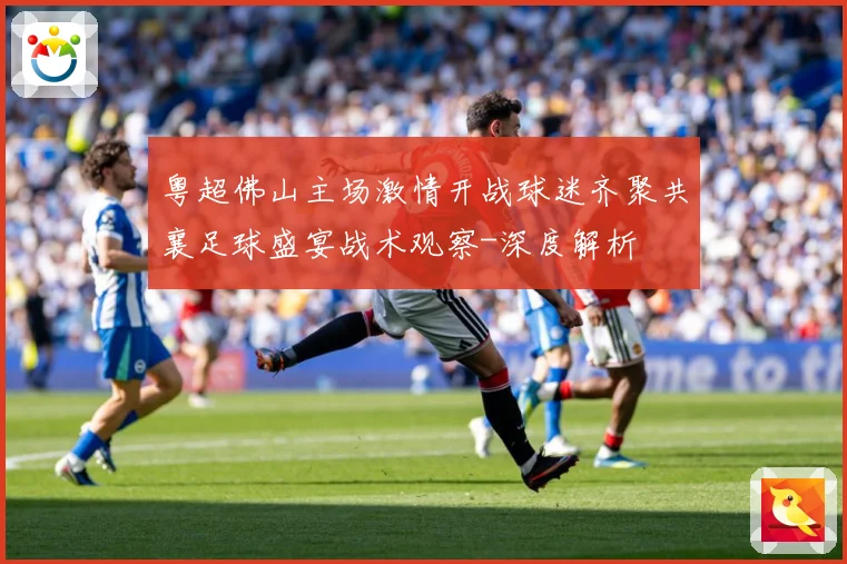 粤超佛山主场激情开战球迷齐聚共襄足球盛宴战术观察-深度解析
