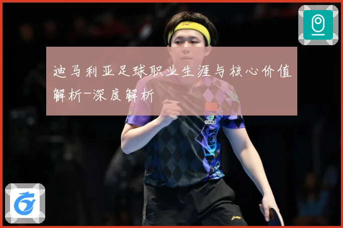 迪马利亚足球职业生涯与核心价值解析-深度解析