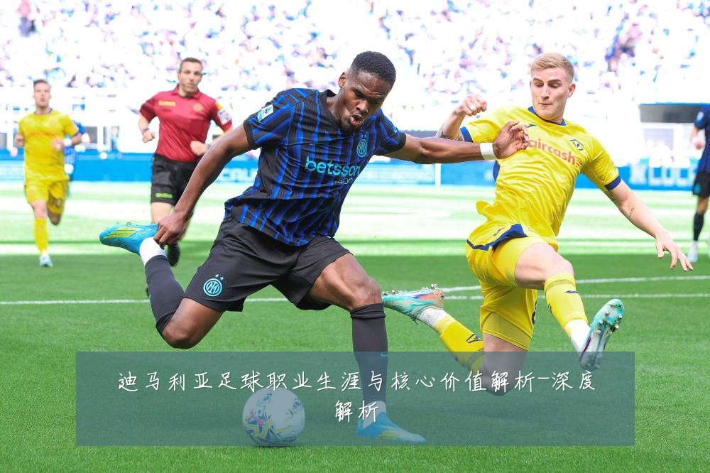 迪马利亚足球职业生涯与核心价值解析-深度解析
