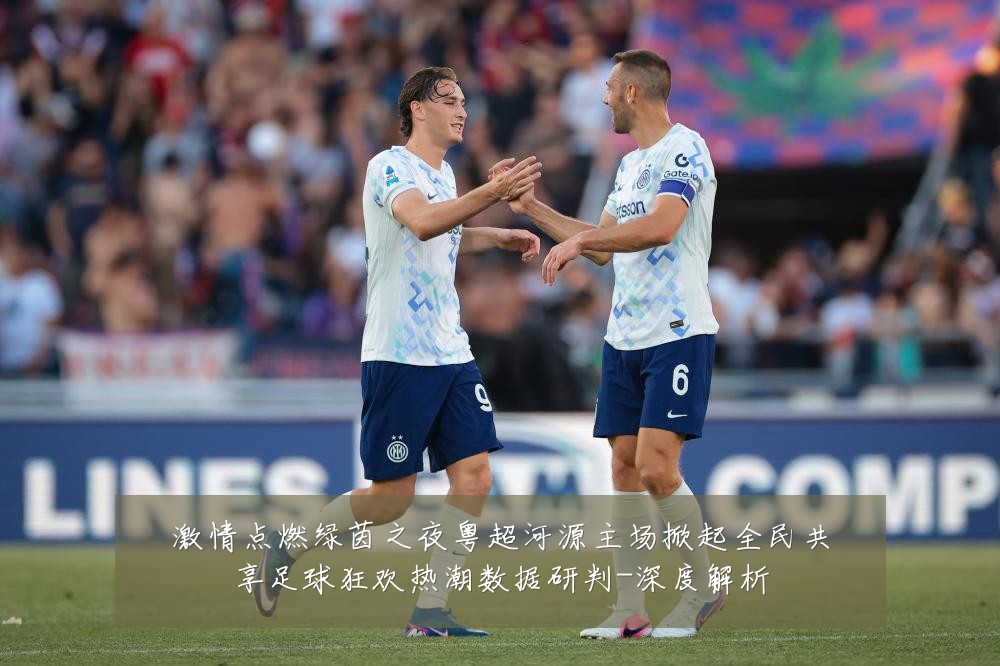 激情点燃绿茵之夜粤超河源主场掀起全民共享足球狂欢热潮数据研判-深度解析